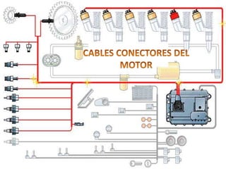 CABLES CONECTORES DEL MOTOR