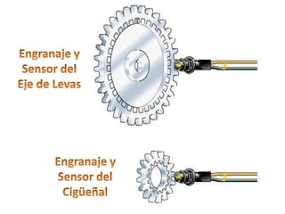 Engranaje ySensor delEje de LevasEngranaje ySensor delCigüeñal