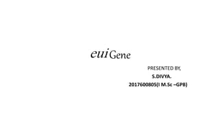 eui Gene
PRESENTED BY,
S.DIVYA.
2017600805(I M.Sc –GPB)
 