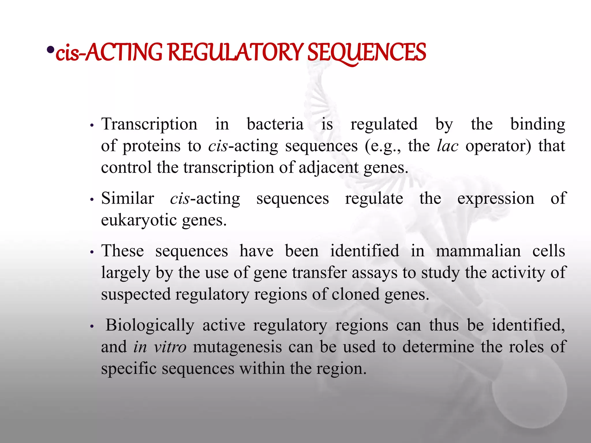 Regulation of Transcription in Eukaryotes | PPTX