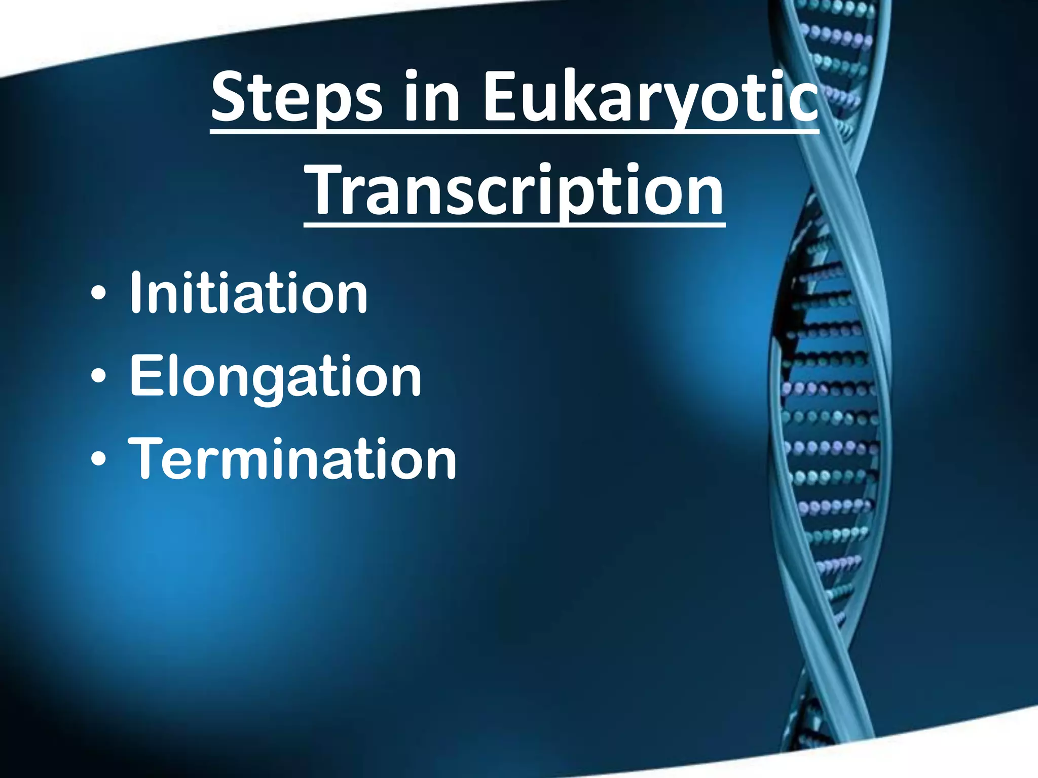 Transcription in Eukaryotes | PDF