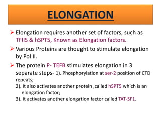 ELONGATION
➢ Elongation requires another set of factors, such as
TFIIS & hSPT5, Known as Elongation factors.
➢ Various Proteins are thought to stimulate elongation
by Pol II.
➢ The protein P- TEFB stimulates elongation in 3
separate steps- 1). Phosphorylation at ser-2 position of CTD
repeats;
2). It also activates another protein ,called hSPT5 which is an
elongation factor;
3). It activates another elongation factor called TAT-SF1.
 