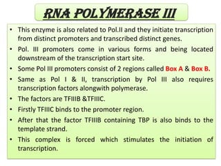 RNA POLYMERASE III
• This enzyme is also related to Pol.II and they initiate transcription
from distinct promoters and transcribed distinct genes.
• Pol. III promoters come in various forms and being located
downstream of the transcription start site.
• Some Pol III promoters consist of 2 regions called Box A & Box B.
• Same as Pol I & II, transcription by Pol III also requires
transcription factors alongwith polymerase.
• The factors are TFIIIB &TFIIIC.
• Firstly TFIIIC binds to the promoter region.
• After that the factor TFIIIB containing TBP is also binds to the
template strand.
• This complex is forced which stimulates the initiation of
transcription.
 
