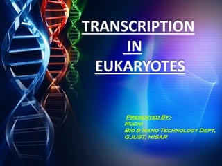 TRANSCRIPTION
IN
EUKARYOTES
Presented By:-
Ruchi
Bio & Nano Technology Dept,
GJUST, HISAR
 