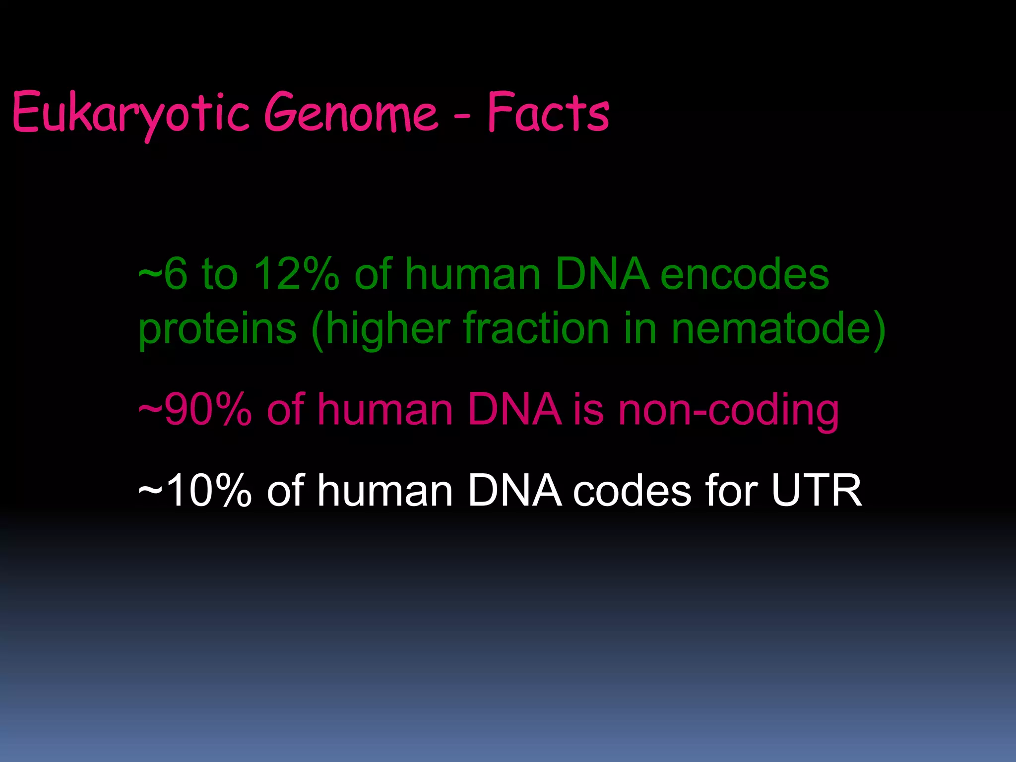~6 to 12% of human DNA encodes
proteins (higher fraction in nematode)
~90% of human DNA is non-coding
~10% of human DNA codes for UTR
Eukaryotic Genome - Facts
 