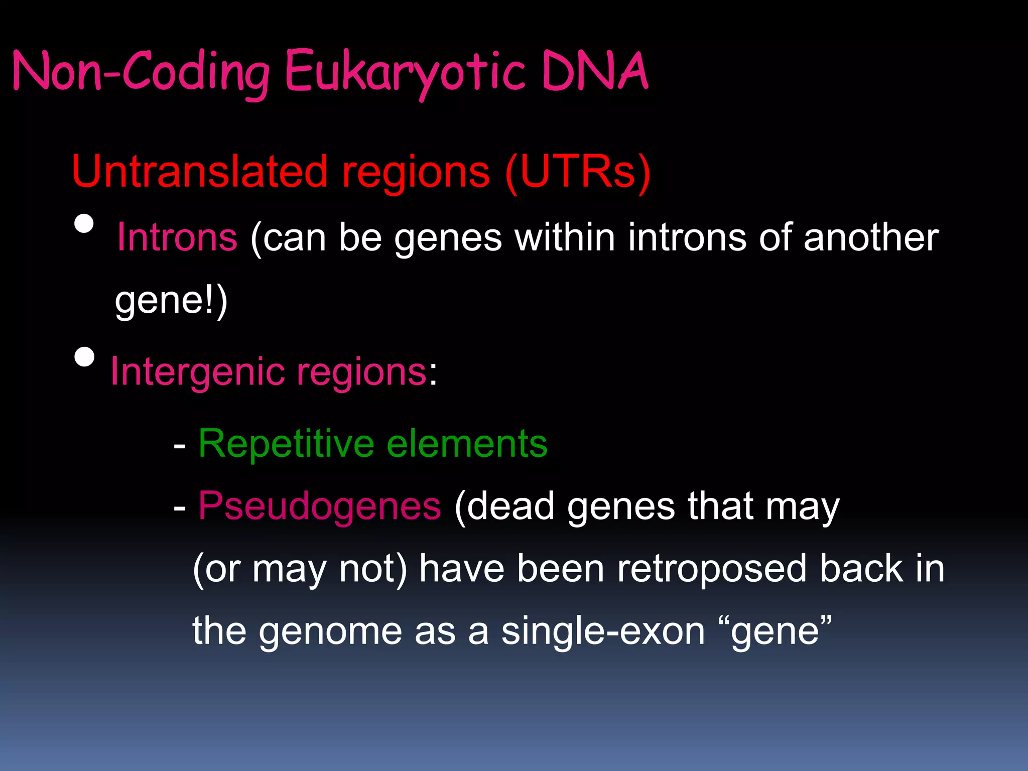Untranslated regions (UTRs)
• Introns (can be genes within introns of another
gene!)
•Intergenic regions:
- Repetitive elements
- Pseudogenes (dead genes that may
(or may not) have been retroposed back in
the genome as a single-exon “gene”
Non-Coding Eukaryotic DNA
 