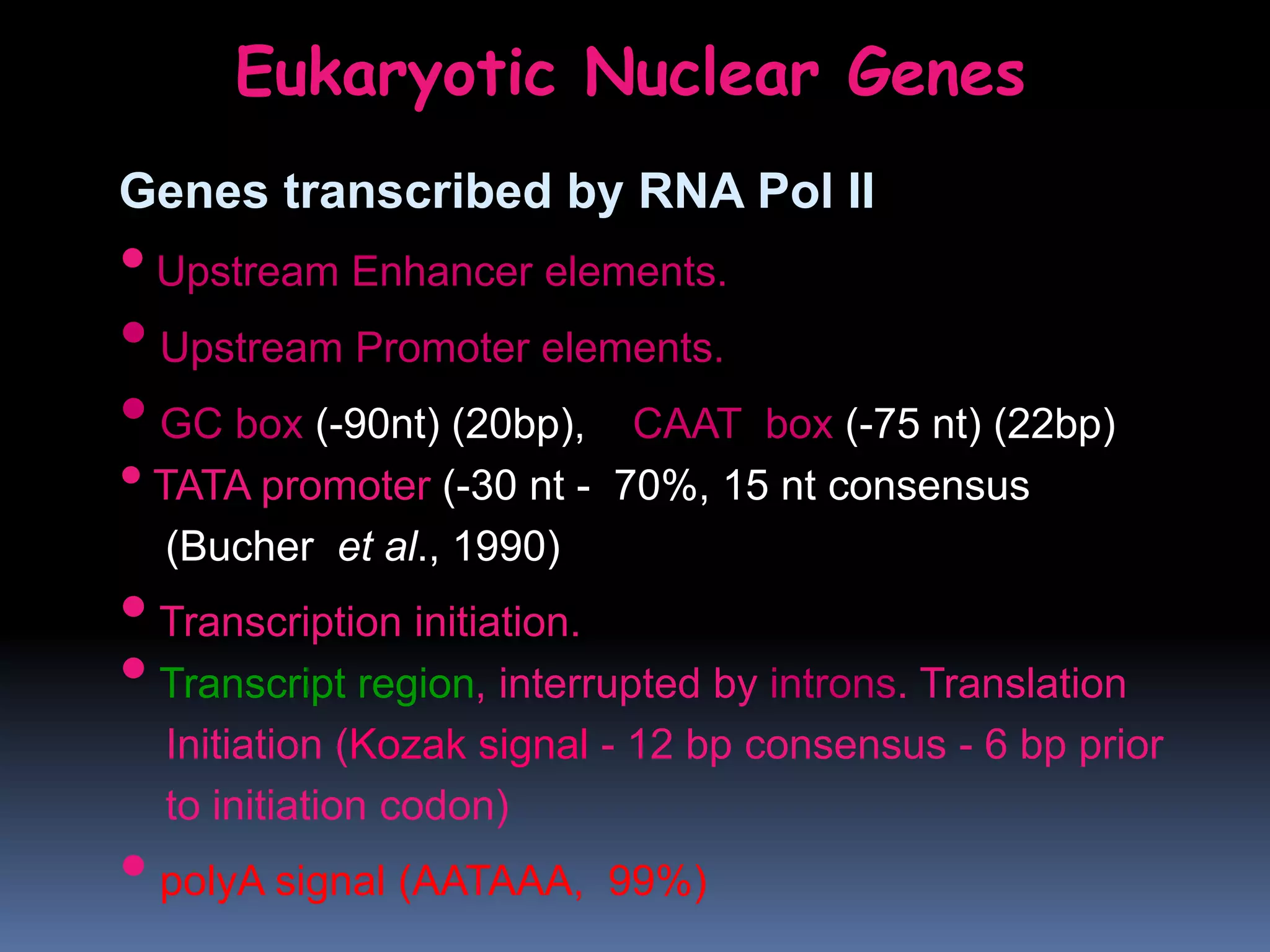 Eukaryotic Nuclear Genes
Genes transcribed by RNA Pol II
•Upstream Enhancer elements.
•Upstream Promoter elements.
•GC box (-90nt) (20bp), CAAT box (-75 nt) (22bp)
•TATA promoter (-30 nt - 70%, 15 nt consensus
(Bucher et al., 1990)
•Transcription initiation.
•Transcript region, interrupted by introns. Translation
Initiation (Kozak signal - 12 bp consensus - 6 bp prior
to initiation codon)
•polyA signal (AATAAA, 99%)
 