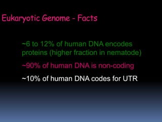 ~6 to 12% of human DNA encodes
proteins (higher fraction in nematode)
~90% of human DNA is non-coding
~10% of human DNA codes for UTR
Eukaryotic Genome - Facts
 