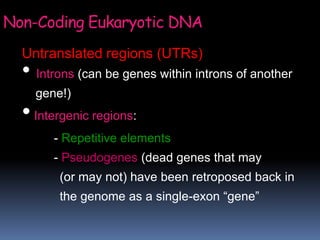 Untranslated regions (UTRs)
• Introns (can be genes within introns of another
gene!)
•Intergenic regions:
- Repetitive elements
- Pseudogenes (dead genes that may
(or may not) have been retroposed back in
the genome as a single-exon “gene”
Non-Coding Eukaryotic DNA
 