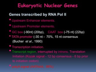Eukaryotic Nuclear Genes
Genes transcribed by RNA Pol II
•Upstream Enhancer elements.
•Upstream Promoter elements.
•GC box (-90nt) (20bp), CAAT box (-75 nt) (22bp)
•TATA promoter (-30 nt - 70%, 15 nt consensus
(Bucher et al., 1990)
•Transcription initiation.
•Transcript region, interrupted by introns. Translation
Initiation (Kozak signal - 12 bp consensus - 6 bp prior
to initiation codon)
•polyA signal (AATAAA, 99%)
 