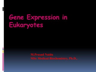 Gene Expression in
Eukaryotes
M.Prasad Naidu
MSc Medical Biochemistry, Ph.D,.
 
