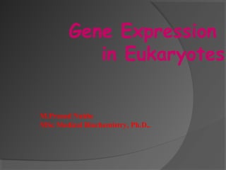 Gene Expression
in Eukaryotes
M.Prasad Naidu
MSc Medical Biochemistry, Ph.D,.
 