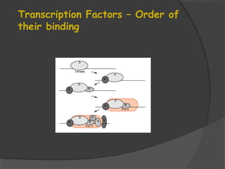 Transcription Factors – Order of
their binding
 