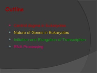 Outline
 Central dogma in Eukaryotes
 Nature of Genes in Eukaryotes
 Initiation and Elongation of Transcription
 RNA Processing
 