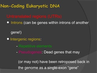 Untranslated regions (UTRs)
• Introns (can be genes within introns of another
gene!)
•Intergenic regions:
- Repetitive elements
- Pseudogenes: Dead genes that may
(or may not) have been retroposed back in
the genome as a single-exon “gene”
Non-Coding Eukaryotic DNA
 