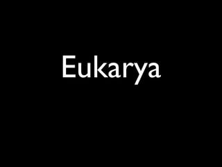 Eukarya
 