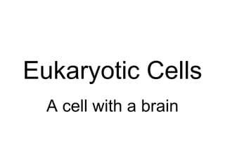 Eukaryotic Cells A cell with a brain 