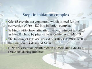 Steps in initiation complex
 Cdc 45 protein is a compound which is need for the
conversion of Pre – RC into initiation complex.
 Its binds with chromatin after the beginning of initiation
in late G1 phase by physically associated with Mcm 5.
 The binding of Cdc 45 is based on Clb - Cdc 28 as well as
the function of Cdc 6 and Mcm.
 GINS are essential for interaction of Mcm and Cdc 45 at
Ori-c site during initiation.
 