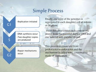 Simple Process
G1
•Replication initiated
S
•DNA synthesis occur
•Two daughter copies
are produced
G2
•Repair mechanisms
occur
Finally, one copy of the genomes is
segregated to each daughter cell at mitosis
or M phase.
These daughter copies each contain one
strand from the parental duplex DNA and
one nascent anti-parallel strand.
This process is conserved from
prokaryotes to eukaryotes and the
mechanism is called semi-conservative
mode of replication.
 