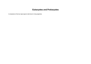 Eukaryotes_vs_Prokaryotes_Grade8_Presentation.pdf