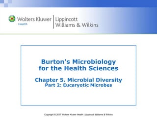 Copyright © 2011 Wolters Kluwer Health | Lippincott Williams & Wilkins
Burton's Microbiology
for the Health Sciences
Chapter 5. Microbial Diversity
Part 2: Eucaryotic Microbes
 