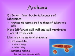Archaea Different from bacteria because of Ribosomes Archaea ribosomes are like those of eukaryotic cells Have Different cell wall and cell membrane from all other cells Live in extreme environments  Extremophiles Heat-Loving Salt-Loving Methane-making Can live near volcanic vents 