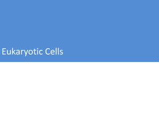 Eukaryotic Cells
 