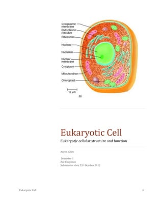 Eukaryotic cell | DOCX