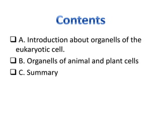  A. Introduction about organells of the
 eukaryotic cell.
 B. Organells of animal and plant cells
 C. Summary
 