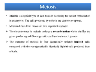 Meiosis
• Meiosis is a special type of cell division necessary for sexual reproduction

in eukaryotes. The cells produced by meiosis are gametes or spores.
• Meiosis differs from mitosis in two important respects:
 The chromosomes in meiosis undergo a recombination which shuffles the

genes producing a different genetic combination in each gamete.
 The outcome of meiosis is four (genetically unique) haploid cells,
compared with the two (genetically identical) diploid cells produced from
mitosis.

 