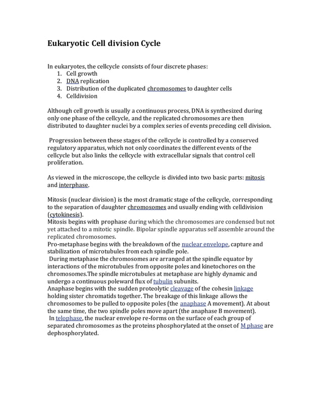 Eukaryotic cell division cycle | PDF