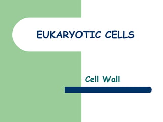 EUKARYOTIC CELLS Cell Wall 