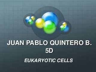 JUAN PABLO QUINTERO B.
5D
EUKARYOTIC CELLS
 