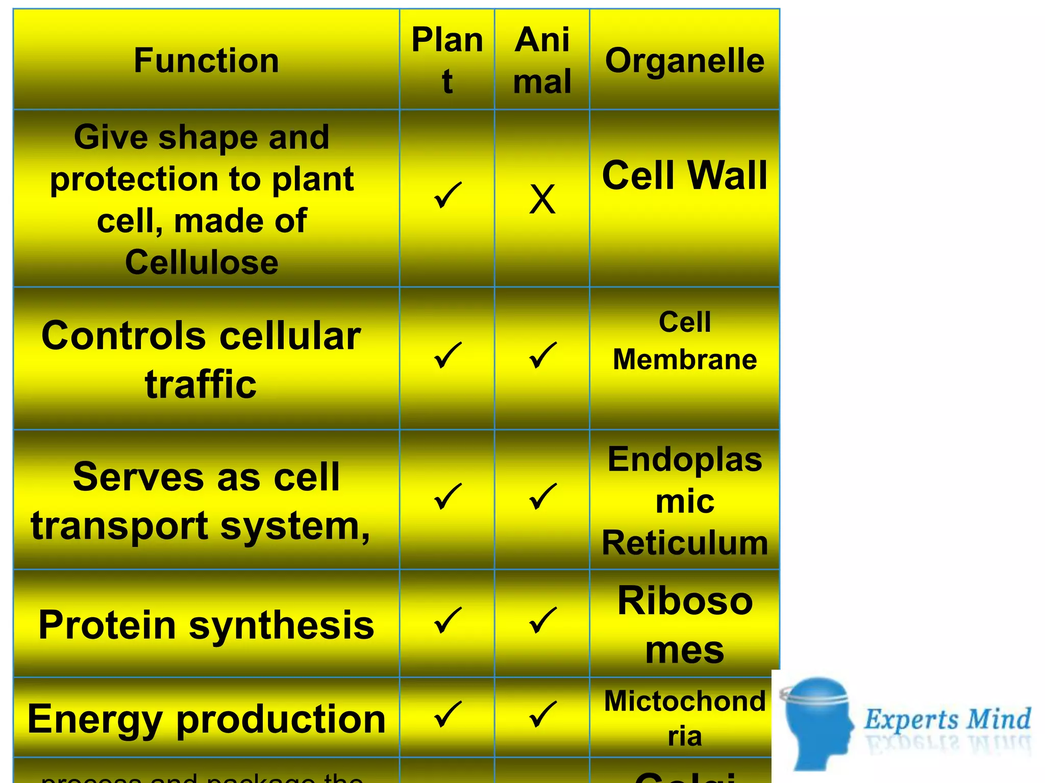 Plan Ani
Function Organelle
t mal
Give shape and
protection to plant Cell Wall
cell, made of
P X
Cellulose
Cell
Controls cellular
P P Membrane
traffic
Endoplas
Serves as cell
P P mic
transport system, Reticulum
Riboso
Protein synthesis P P
mes
Mictochond
Energy production P P ria