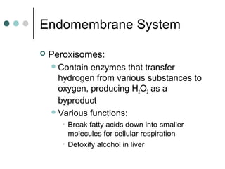 Endomembrane System
 Peroxisomes:
Contain enzymes that transfer
hydrogen from various substances to
oxygen, producing H2O2 as a
byproduct
Various functions:
• Break fatty acids down into smaller
molecules for cellular respiration
• Detoxify alcohol in liver
 