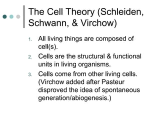 The Cell Theory (Schleiden,
Schwann, & Virchow)
1. All living things are composed of
cell(s).
2. Cells are the structural & functional
units in living organisms.
3. Cells come from other living cells.
(Virchow added after Pasteur
disproved the idea of spontaneous
generation/abiogenesis.)
 
