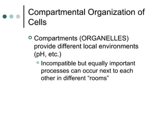 Compartmental Organization of
Cells
 Compartments (ORGANELLES)
provide different local environments
(pH, etc.)
Incompatible but equally important
processes can occur next to each
other in different “rooms”
 