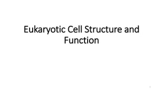 Eukaryotic Cell Structure and
Function
1
 