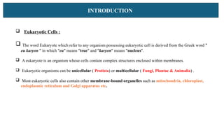 INTRODUCTION
 Eukaryotic Cells :
 The word Eukaryote which refer to any organism possessing eukaryotic cell is derived from the Greek word "
eu karyon " in which "eu" means "true" and "karyon" means "nucleus".
 A eukaryote is an organism whose cells contain complex structures enclosed within membranes.
 Eukaryotic organisms can be unicellular ( Protista) or multicellular ( Fungi, Plantae & Animalia) .
 Most eukaryotic cells also contain other membrane-bound organelles such as mitochondria, chloroplast,
endoplasmic reticulum and Golgi apparatus etc.
 
