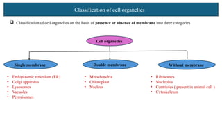 Classification of cell organelles
 Classification of cell organelles on the basis of presence or absence of membrane into three categories
Cell organelles
• Endoplasmic reticulum (ER)
• Golgi apparatus
• Lysosomes
• Vacuoles
• Peroxisomes
• Mitochondria
• Chloroplast
• Nucleus
• Ribosomes
• Nucleolus
• Centrioles ( present in animal cell )
• Cytoskeleton
Single membrane Double membrane Without membrane
 