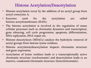 Histone Acetylation/Deacetylation
• Histone acetylation occur by the addition of an acetyl group from
acetyl coenzyme A.
• Enzymes used for the acetylation are called
histone acetyltransferases (HATs).
• The histone acetylation is involved in the regulation of many
cellular processes such as chromatin dynamics and transcription,
gene silencing, cell cycle progression, apoptosis, differentiation,
DNA replication, DNA repair etc.
• Histone deacetylaces (HDACs) catalyze the hydrolytic removal of
acetyl groups from histone lysine residues.
• Histone acetylation/deacetylation impacts chromatin structure
and gene expression.
• Acetylation of lysine residues leads to a transcriptionally active
chromatin structure (euchromatin) and deacetylation leads to an
inactive, condensed chromatin structure (heterochromatin).
 