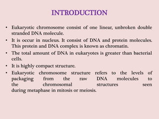 INTRODUCTION
• Eukaryotic chromosome consist of one linear, unbroken double
stranded DNA molecule.
• It is occur in nucleus. It consist of DNA and protein molecules.
This protein and DNA complex is known as chromatin.
• The total amount of DNA in eukaryotes is greater than bacterial
cells.
• It is highly compact structure.
• Eukaryotic chromosome structure refers to the levels of
packaging from the raw DNA molecules to
the chromosomal structures seen
during metaphase in mitosis or meiosis.
 