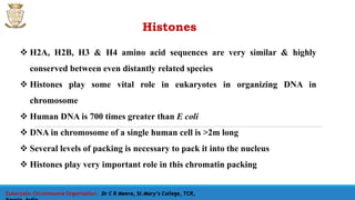 Histones
Eukaryotic Chromosome Organisation, Dr C R Meera, St.Mary’s College, TCR,
 H2A, H2B, H3 & H4 amino acid sequences are very similar & highly
conserved between even distantly related species
 Histones play some vital role in eukaryotes in organizing DNA in
chromosome
 Human DNA is 700 times greater than E coli
 DNA in chromosome of a single human cell is >2m long
 Several levels of packing is necessary to pack it into the nucleus
 Histones play very important role in this chromatin packing
 