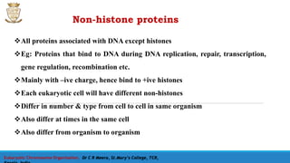 Non-histone proteins
Eukaryotic Chromosome Organisation, Dr C R Meera, St.Mary’s College, TCR,
All proteins associated with DNA except histones
Eg: Proteins that bind to DNA during DNA replication, repair, transcription,
gene regulation, recombination etc.
Mainly with –ive charge, hence bind to +ive histones
Each eukaryotic cell will have different non-histones
Differ in number & type from cell to cell in same organism
Also differ at times in the same cell
Also differ from organism to organism
 