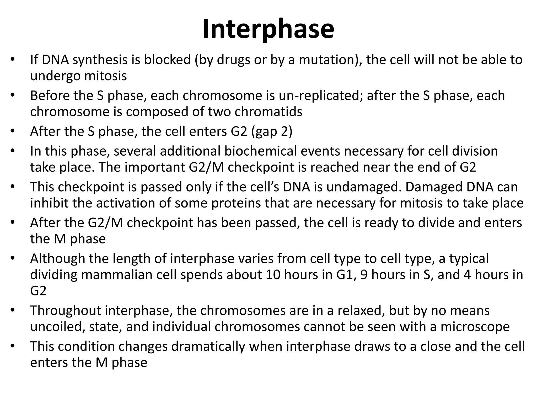 Eukaryotic chromosomes.pdf