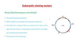 Eukaryotic cloning vectors
Yeast (Saccharomyces cerevisiae):
? The yeast plasmid 2m plasmid.
? REP1 and REP2 are involved in the replication of plasmid.
? FLP codes for a protein that can convert the A form of the
plasmid to the B form, in which gene order has been rearranged
by intramolecular recombination.
? The function of D is not known.
 