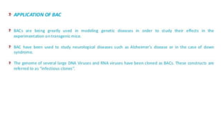 Eukaryotic cloning vector for genetic diversity analysis