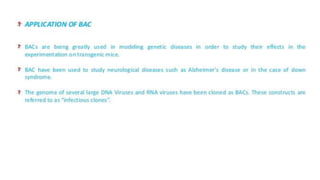 Eukaryotic cloning vector for genetic diversity analysis