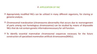 Eukaryotic cloning vector for genetic diversity analysis
