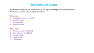 Plant expression vectors
Plant expression vectors are mainly based on the Ti plasmid of Agrobacterium tumefaciens.
Plant viruses are also used as expression vectors.
DNA Vectors
1. Cauliflower mosaic virus (CMV)
2. Gemini Viruses
3. Mastreviruses
4. Begomoviruses
RNA vectors
1. Tobacco mosaic virus (TMV)
2. Brome Mosaic virus (BMV)
3. Hordeiviruses
4. Potexviruses
5. Comoviruses
 